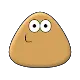 Pou