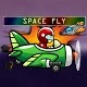 Space Fly