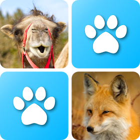 Pairs: Animals