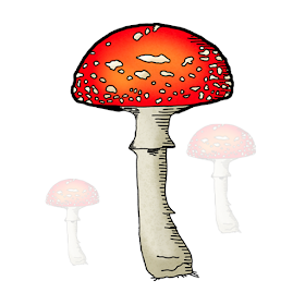 Mushroom Field Puzzle