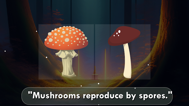 #10. Mushroom Field Puzzle (Android) By: profigame.net