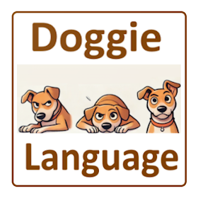 Dog Body Language Quiz