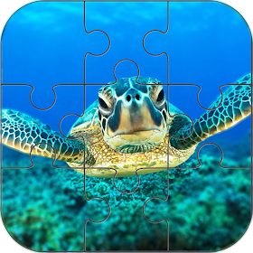 Ocean Puzzle