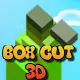 Box Cut 3D