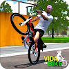 Vida de Bike - Brasil icon