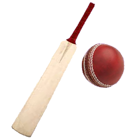 Sports : Cricket Batting