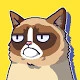 Grumpy Cat's Worst Game Ever