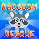 Cave Raccoon Rescue