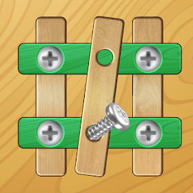 Nuts & Bolts Brain Puzzle