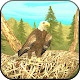 Wild Eagle Sim 3D