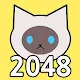 Cat 2048