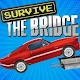 Survive The Bridge