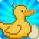 Duck Farm