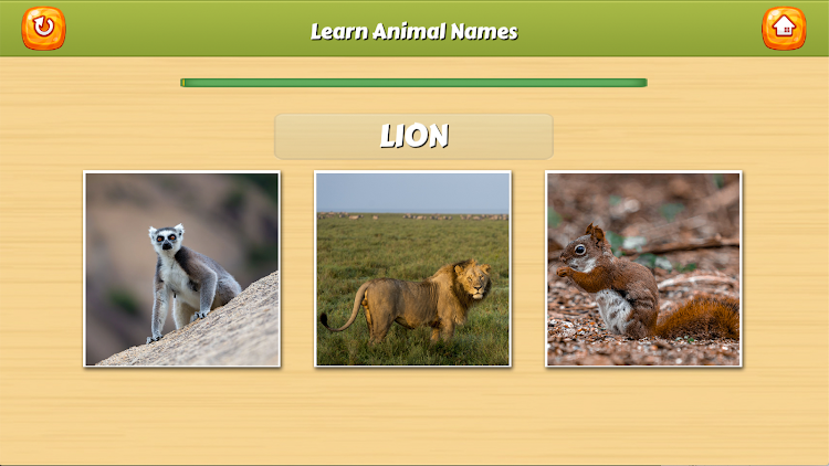 #3. Learn Animal Names (Android) By: awara labs