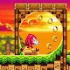 Knuckles Run