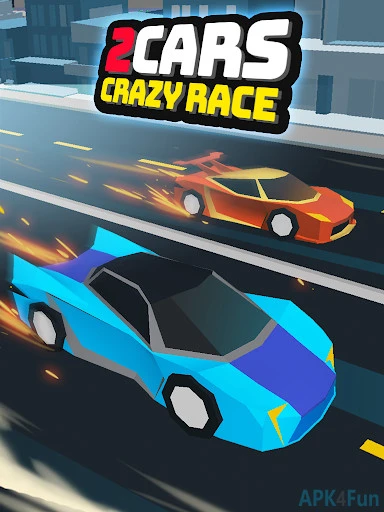 2 Cars: Crazy Race Screenshot Image