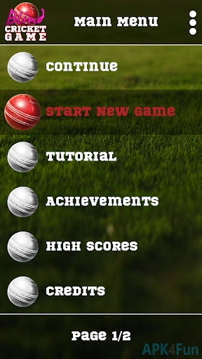 Blind Cricket Screenshot Image