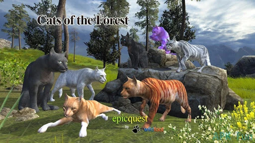 Cats of the Forest Screenshot Image