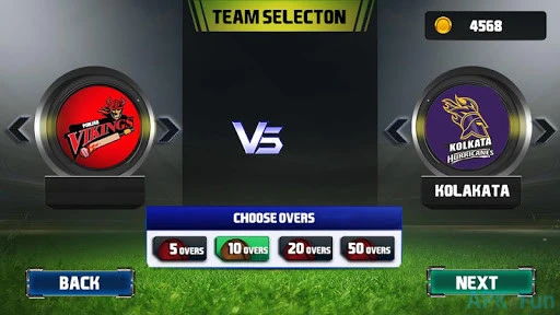 Champions Cricket Screenshot Image