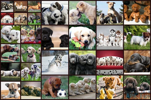 Dogs Jigsaw Puzzles Screenshot Image