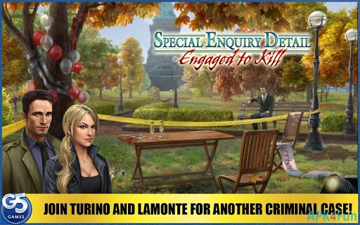 Special Enquiry Detail Screenshot Image