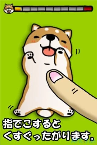 Tickling Dog Screenshot Image