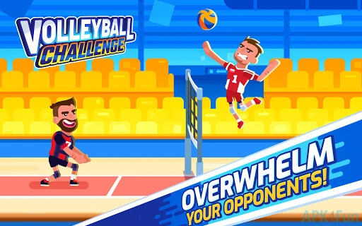 Volleyball Challenge Screenshot Image