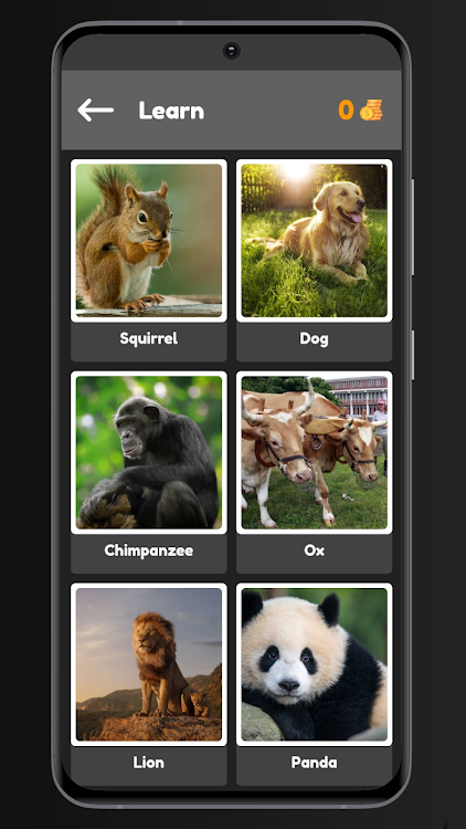 #6. Animals Quiz (Android) By: Ganesh Panwar