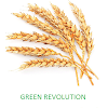 Green Revolution icon