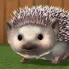 My Hedgehog icon