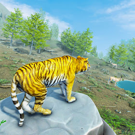 Wild Tiger Simulator Animal 3D