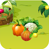 Veggie Match Collection icon