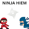 Ninja Hiem icon