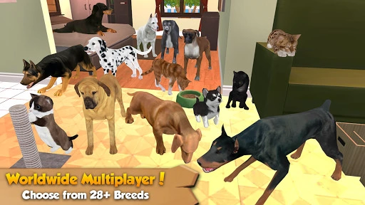 Cat & Dog Online Screenshot Image