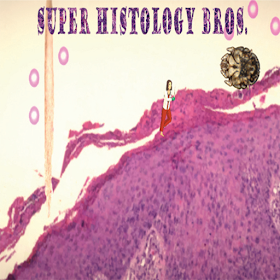 Super Histology Bros.