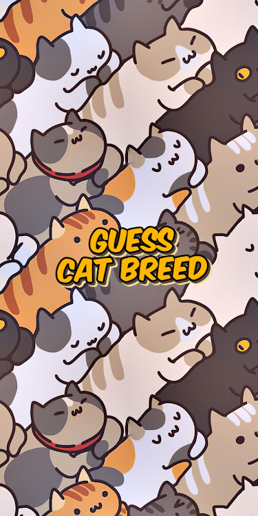 #1. cat breed quiz (Android) By: khicomro